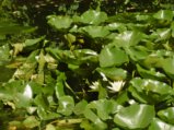 thumbnails/025-7ter-Spaziergang-SSF-FIN-012_ji.jpg.small.jpeg