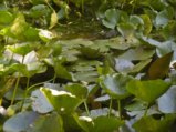 thumbnails/026-7ter-Spaziergang-SSF-FIN-013_ji.jpg.small.jpeg