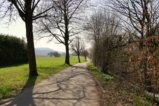 thumbnails/002-Zaehringer-Burg-Tour-V1-FIN-003_ji.jpg.small.jpeg