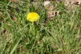 thumbnails/004-Zaehringer-Burg-Tour-V1-FIN-005_ji.jpg.small.jpeg
