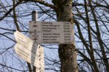 thumbnails/012-Zaehringer-Burg-Tour-V1-FIN-014_ji.jpg.small.jpeg