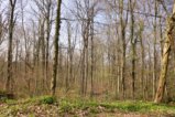 thumbnails/013-Zaehringer-Burg-Tour-V1-FIN-015_ji.jpg.small.jpeg