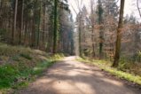 thumbnails/014-Zaehringer-Burg-Tour-V1-FIN-016_ji.jpg.small.jpeg