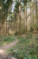 thumbnails/015-Zaehringer-Burg-Tour-V1-FIN-017_ji.jpg.small.jpeg