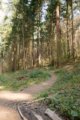 thumbnails/016-Zaehringer-Burg-Tour-V1-FIN-018_ji.jpg.small.jpeg