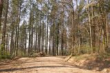 thumbnails/019-Zaehringer-Burg-Tour-V1-FIN-021_ji.jpg.small.jpeg