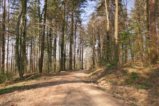 thumbnails/020-Zaehringer-Burg-Tour-V1-FIN-022_ji.jpg.small.jpeg
