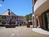 thumbnails/000-Spaziergang mit Walz 01.jpg.small.jpeg