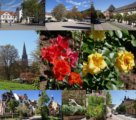 thumbnails/034-Freiburg-Tour-Collage.jpg.small.jpeg