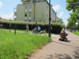 thumbnails/023-4ter Spaziergang des Runden Tisches 24_ji.jpg.small.jpeg