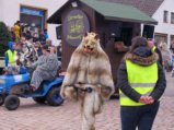 thumbnails/016-Gufi-Fastnachtsumzug-2018-021_ji.jpg.small.jpeg