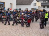thumbnails/019-Gufi-Fastnachtsumzug-2018-024_ji.jpg.small.jpeg