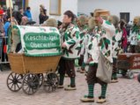 thumbnails/026-Gufi-Fastnachtsumzug-2018-034_ji.jpg.small.jpeg