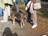 thumbnails/008-Buergermeister-Spaziergang_0010.JPG.small.jpeg