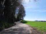 thumbnails/020-Maerz-34_ji.jpg.small.jpeg