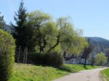 thumbnails/021-Maerz-35_ji.jpg.small.jpeg