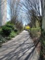 thumbnails/026-Maerz-41_ji.jpg.small.jpeg