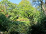 thumbnails/017-Ernte Dank Tag_0022_ji.jpg.small.jpeg