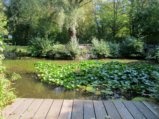 thumbnails/018-Ernte Dank Tag_0023_ji.jpg.small.jpeg